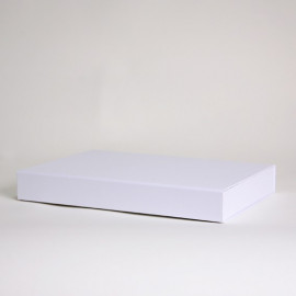 Wonderbox-EVOLUTION (31x22x4)