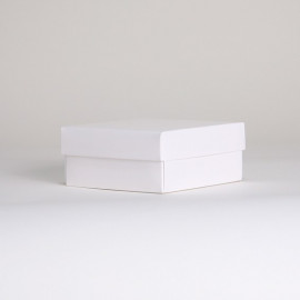 Boite CAMPANA (20*25*5)